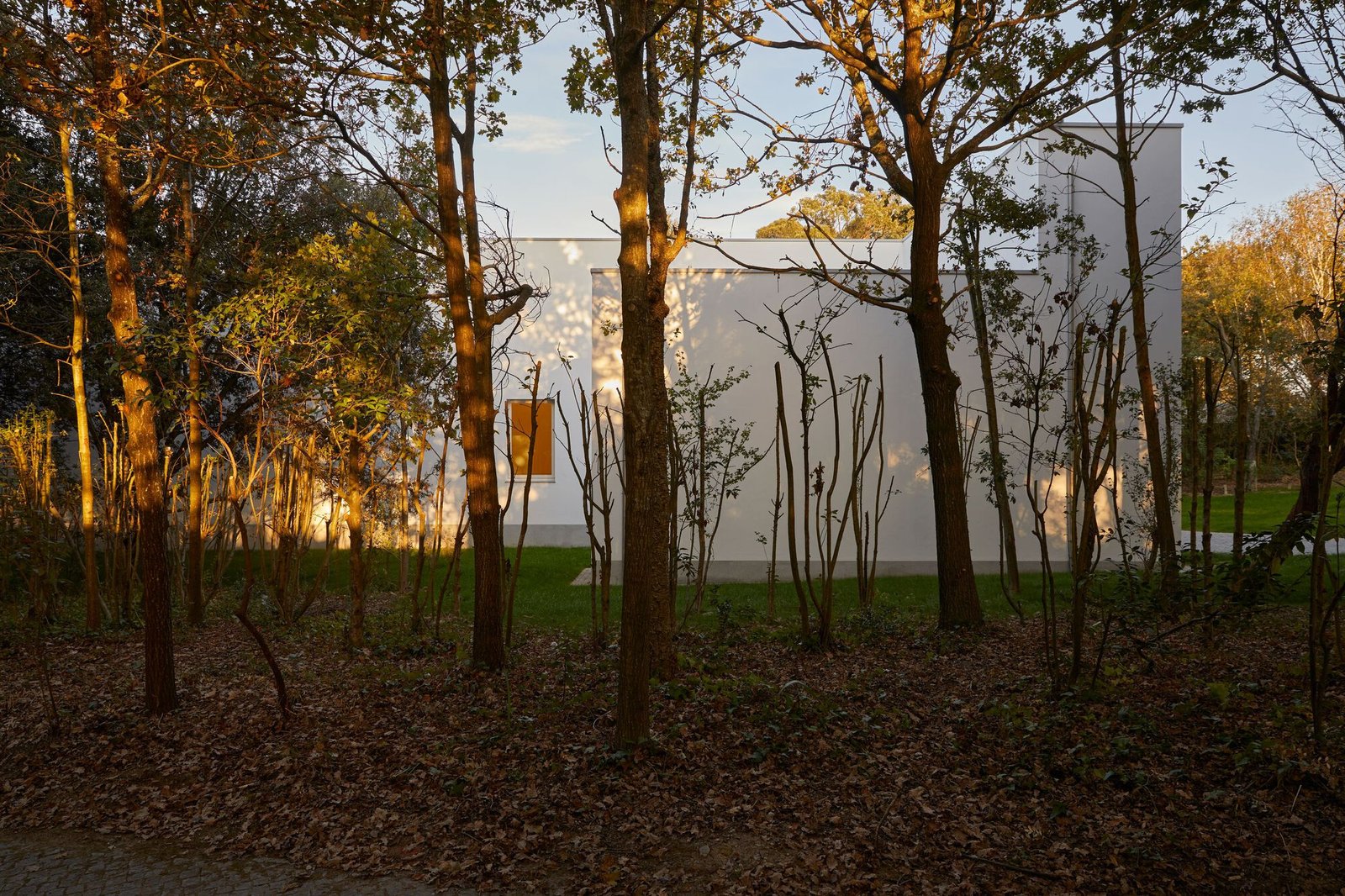 Ala Álvaro Siza do Museu Serralves / Álvaro Siza Vieira