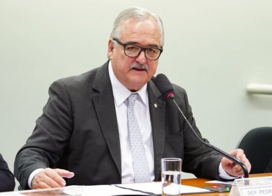 Deputado federal gaúcho Pedro Westphalen (PP) integra Frente Parlamentar da Saúde da Câmara dos Deputados