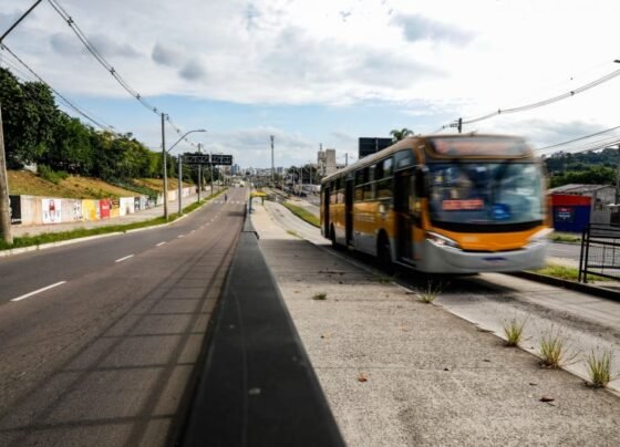 Com liberação do trânsito na avenida Tronco, oito linhas do transporte coletivo terão alterações de itinerário