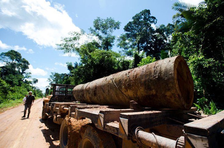 PT reage a ofensiva contra o MST e apresenta projeto para punir grileiros – Política – CartaCapital