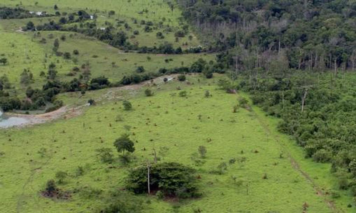 degradação afeta área três vezes maior que desmatamento – Política – CartaCapital