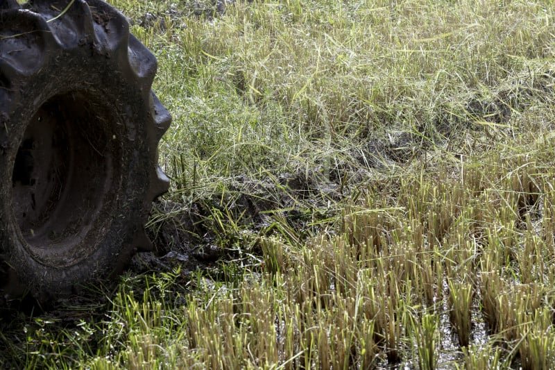 Agricultura cria programa para reconstrução do agro do Rio Grande do Sul