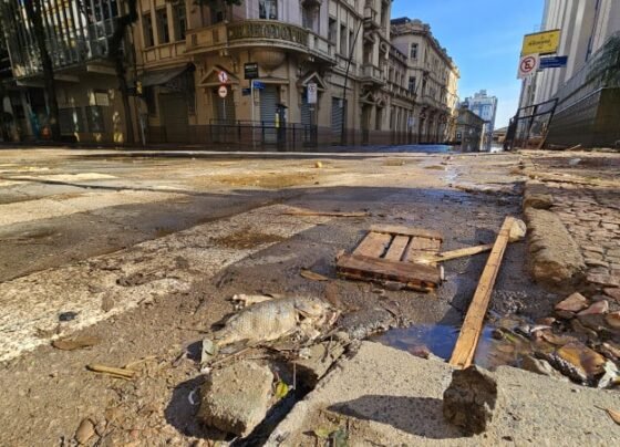 Além de peixes mortos, árvores caídas, estátuas manchadas e, até mesmo, a cabeça de um boneco no meio da rua, assustava os moradores e trabalhadores da região na manhã deste sábado (18)