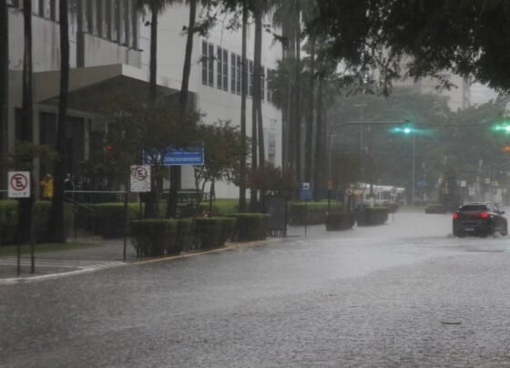 Liberada há cerca de uma semana,avenida Praia de Belas voltou a inundar