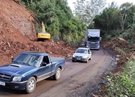 O trecho da ERS-122 dos km 103 ao km 115 entre Flores da Cunha e Antônio Prado foi liberado