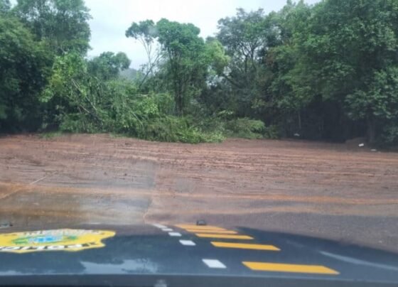 Diversas rodovias estão totalmente bloqueadas com água na pista