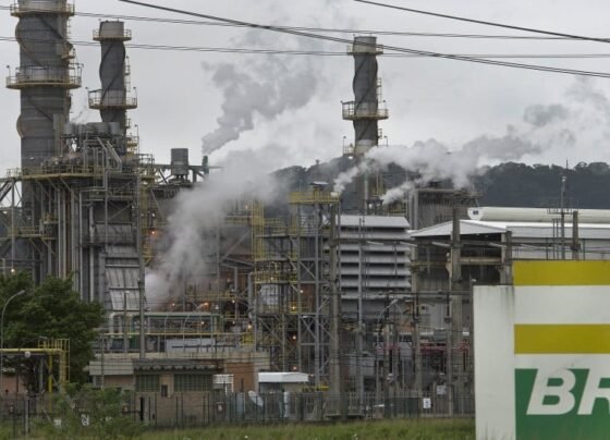 Opinião é do coordenador-geral de mudanças do clima do Ministério do Meio Ambiente (MMA), Thiago Longo