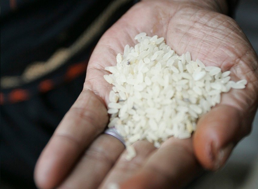 Governo publica portaria sobre compra de arroz devido a impactos das chuvas no RS