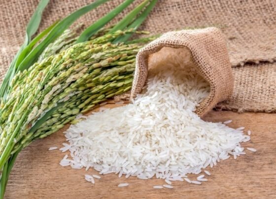 Estarão inclusos na tarifa zero dois tipos de arroz não parboilizados (descascado e com casca) e um tipo de arroz beneficiado, polido ou brunido