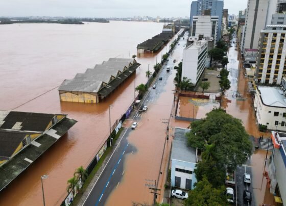 CNN Brasil