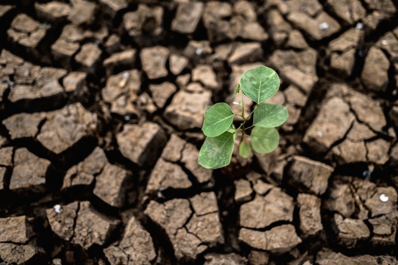 Agricultores pedem reversão de resoluções do CMN que alteram o Proagro