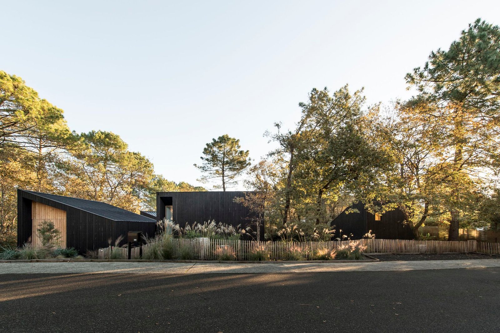 Casa nas árvores / OECO Architectes