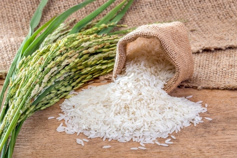 Conab realizará novo leilão de 36,63 mil toneladas de arroz em 13 de junho