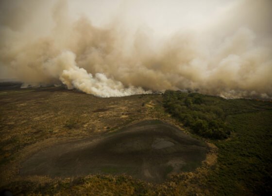 As equipes do Rio Grande do Sul, formadas por 42 integrantes, chegaram na tarde desta sexta-feira (28) e se juntaram aos outros integrantes que estavam na região pantaneira desde quinta-feira (27)