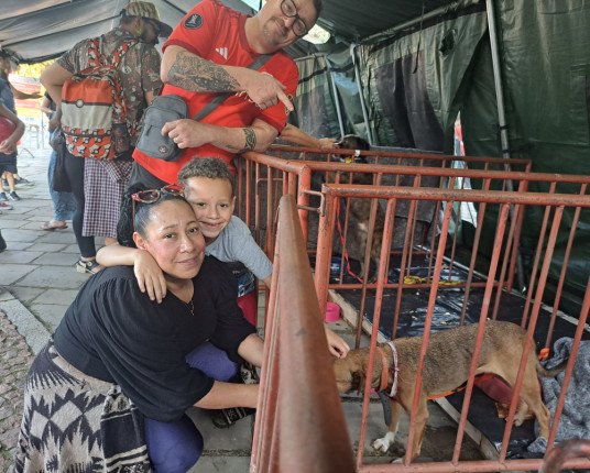 Feiras buscam adotantes para cães e gatos atingidos pelas cheias