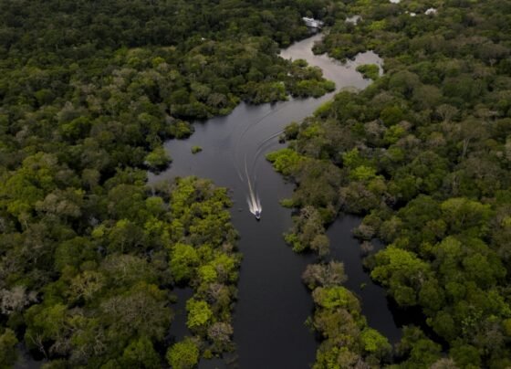 Amazônia: Segurança e Soberania recebeu aporte de R$ 318 bilhões