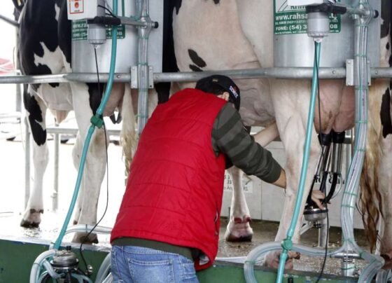 Ação prevê atender a todos aqueles que foram atingidos em regiões de calamidade ou emergência