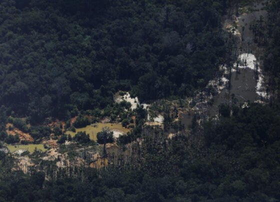 Território indígena é alvo de atividades ilegais de garimpo e desmatamento