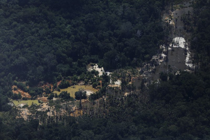 Ministro da Defesa defende atuação de iniciativa privada em terra Yanomami