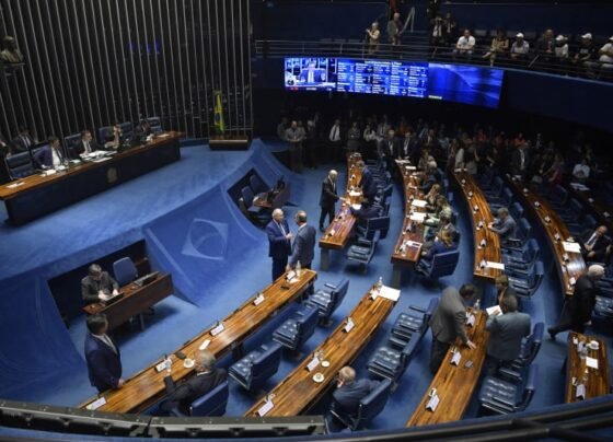 Frentes parlamentares pediram ao presidente do Senado, Rodrigo Pacheco, que devolvesse a proposta