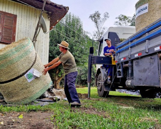 Senar-RS inicia as entregas aos produtores rurais atingidos pelas enchentes