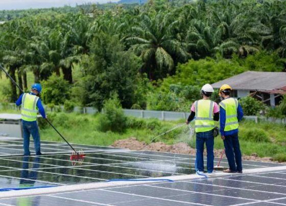EQI dá mais um passo no mercado de energia e entra no negócio de painéis solares