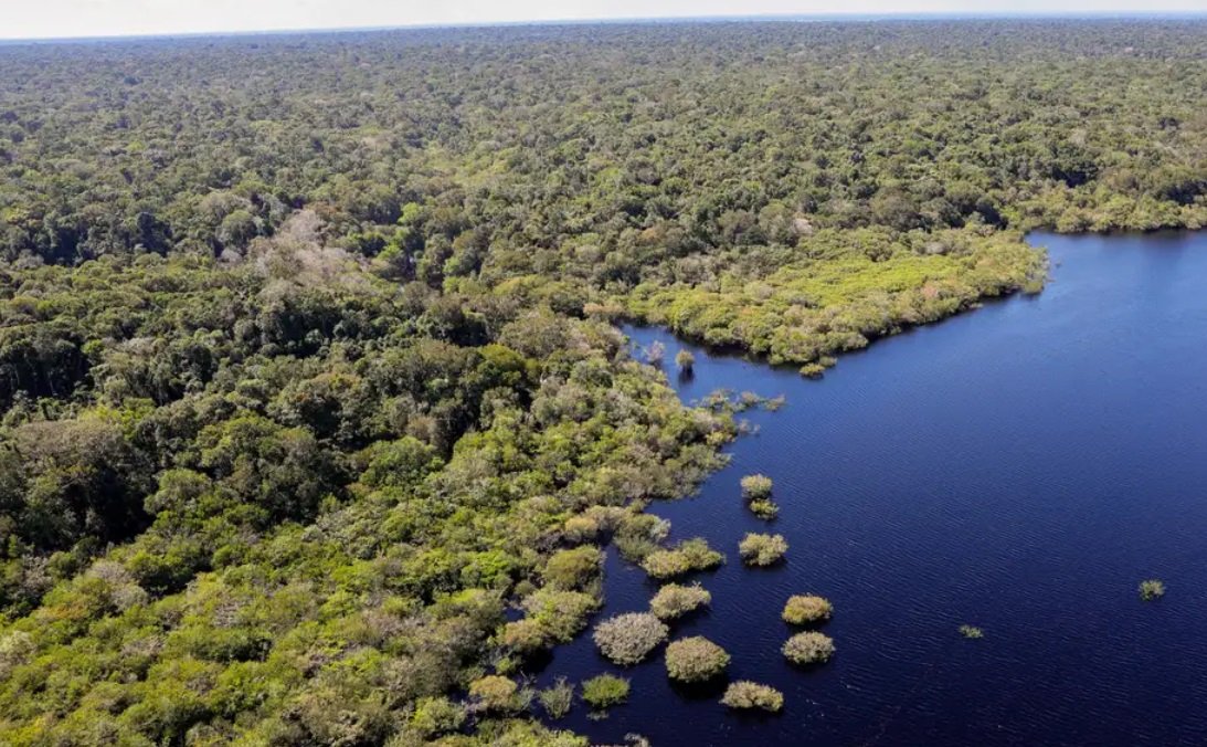 União Europeia fará doação de R$ 120 milhões ao Fundo Amazônia