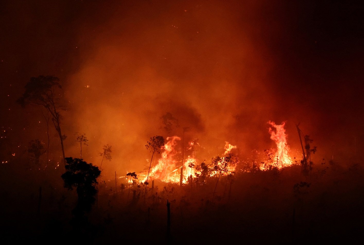 Incêndios na Amazônia atingem maior patamar para julho em duas décadas