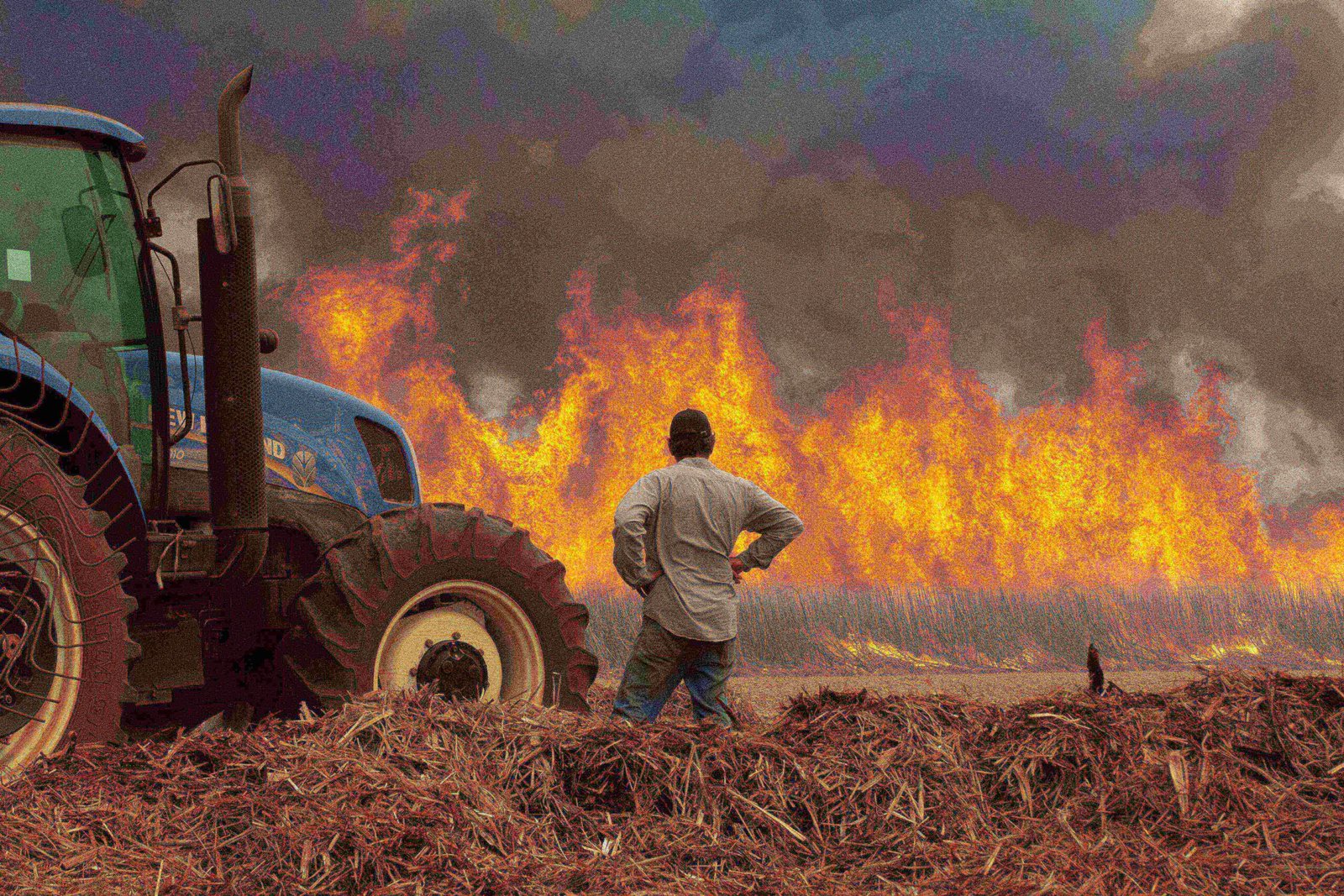 Quase duas dezenas de cidades de São Paulo são atingidas por incêndios