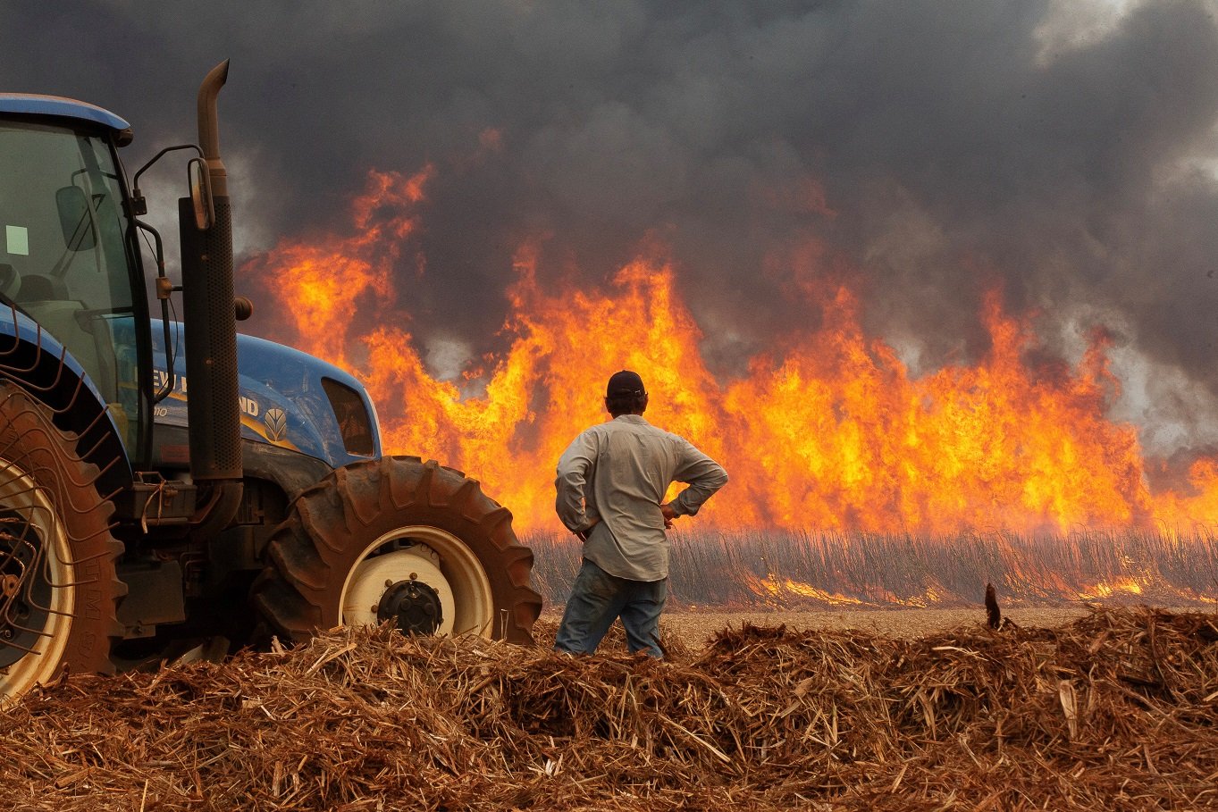 SP vê incêndios criminosos em canaviais e prende 5º suspeito, diz secretário