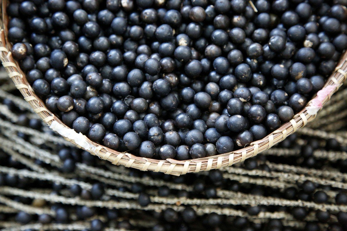 Esta fruta melhora a saúde cardíaca e da pele; saiba como consumir | Comida & Bebida