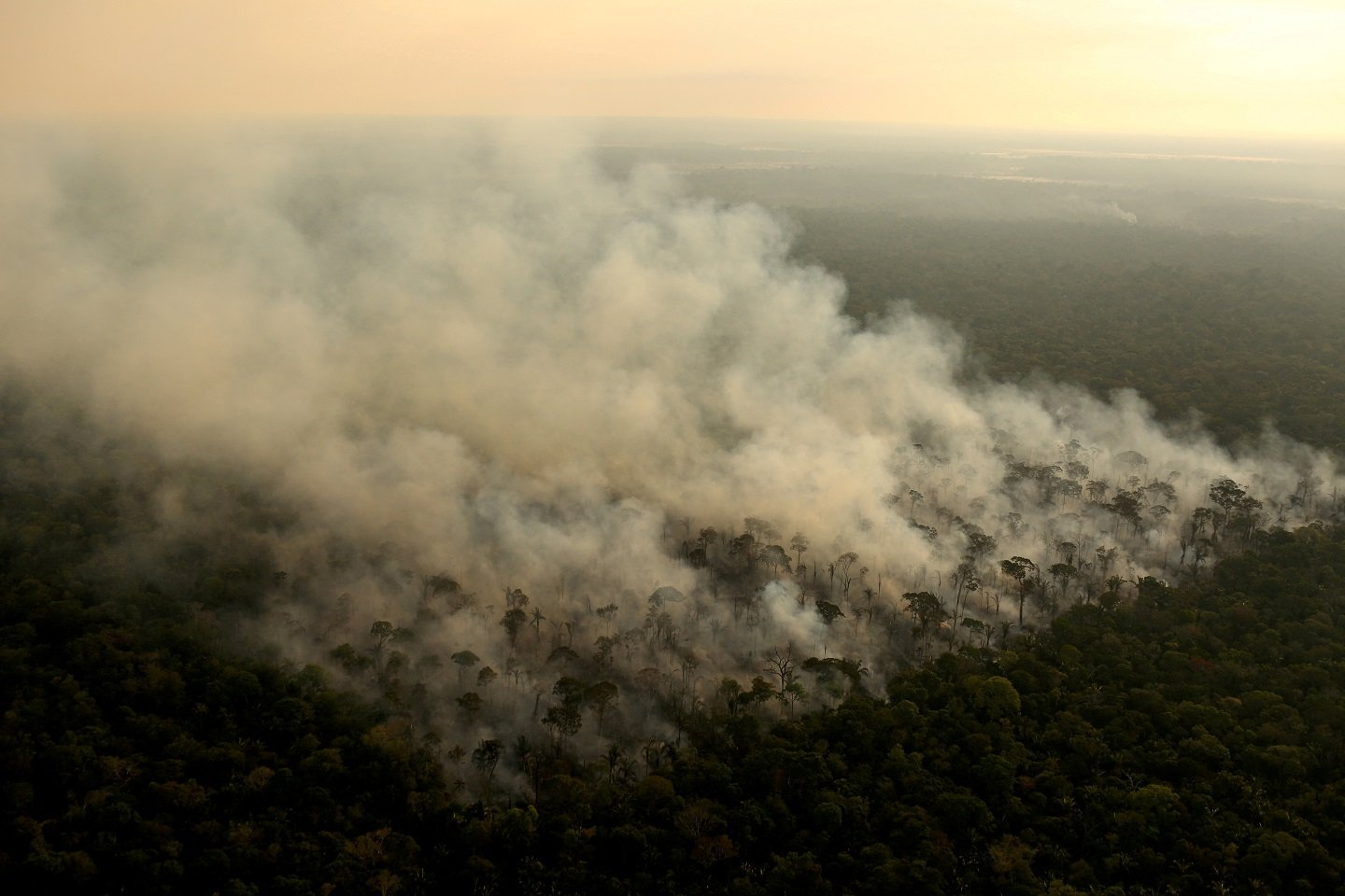 Incêndios na floresta amazônica brasileira atingem em agosto maior nível em 14 anos