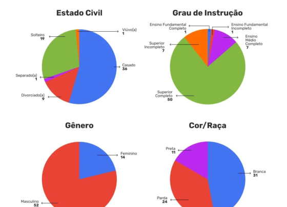 quatro graficos em pizza que mostram o perfil dos candidatos a prefeito nas capitais do Nordeste