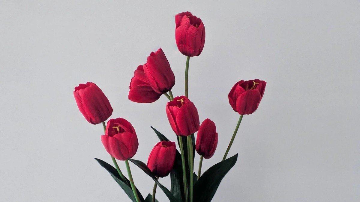 Tulipa: os significados da flor que simboliza o amor verdadeiro | Paisagismo