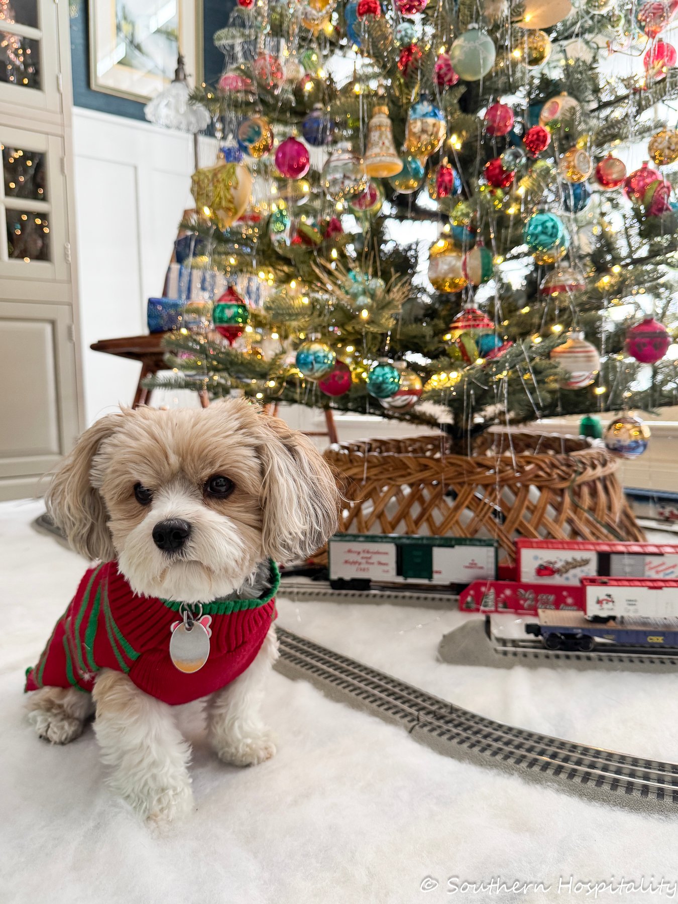 Uma nova árvore de Natal, lareira tradicional e muito mais