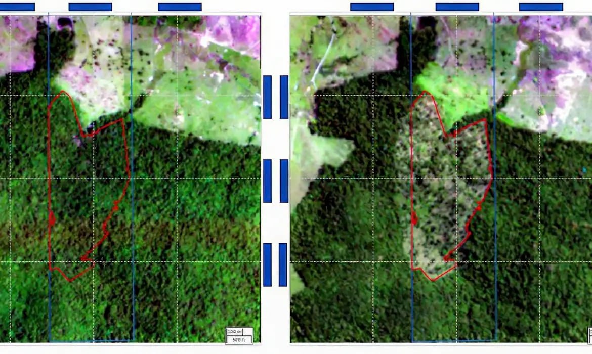 BNDES usa imagens de satélite para barrar empréstimo a desmatadores – Economia – CartaCapital