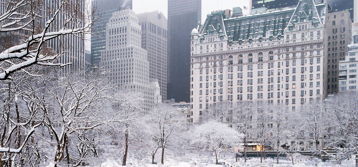 Pacote ‘Esqueceram de Mim’ faz sucesso no The Plaza Hotel em Nova York | Viagem